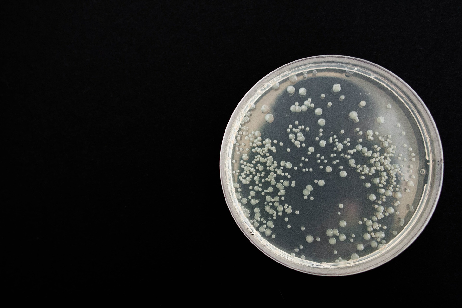 Cell Culture Equipment