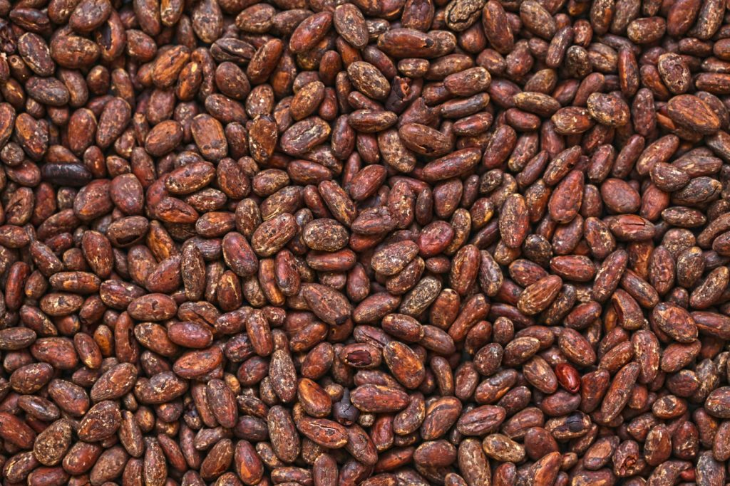 Cocoa Bean Processing Equipment