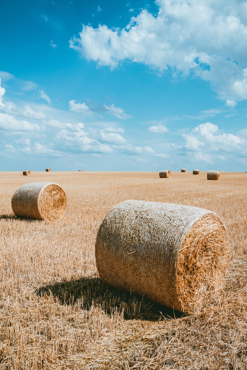 Making Straw