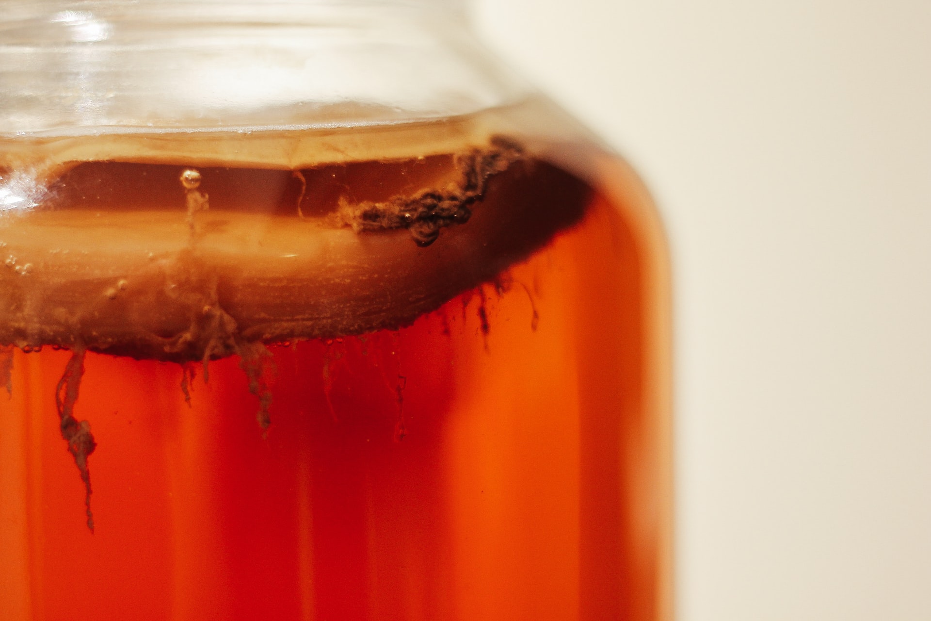 Making Kombucha