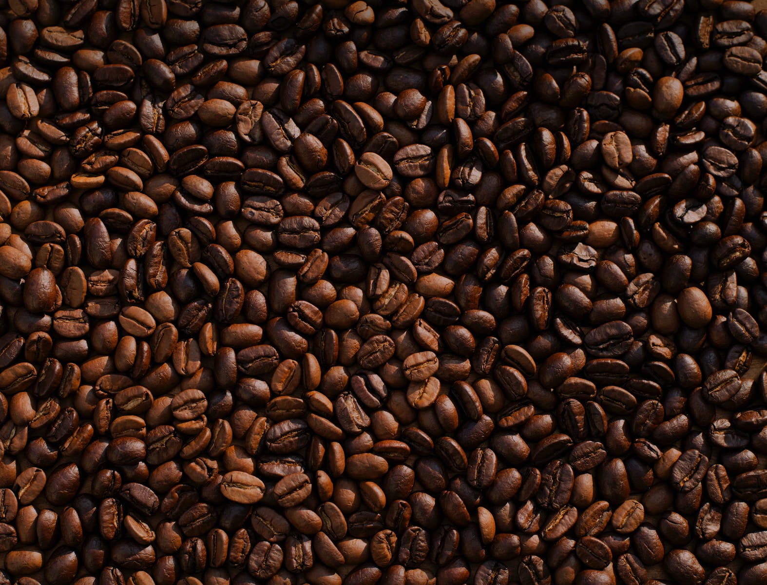 Coffee Processing Equipment
