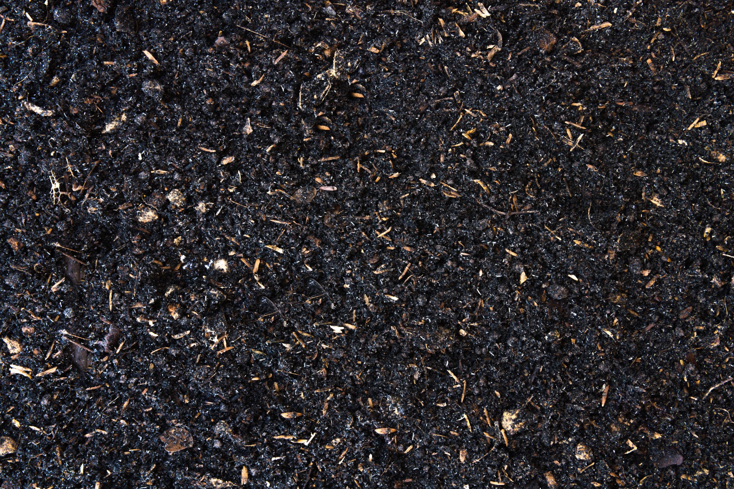 Let's make organic fertilizer