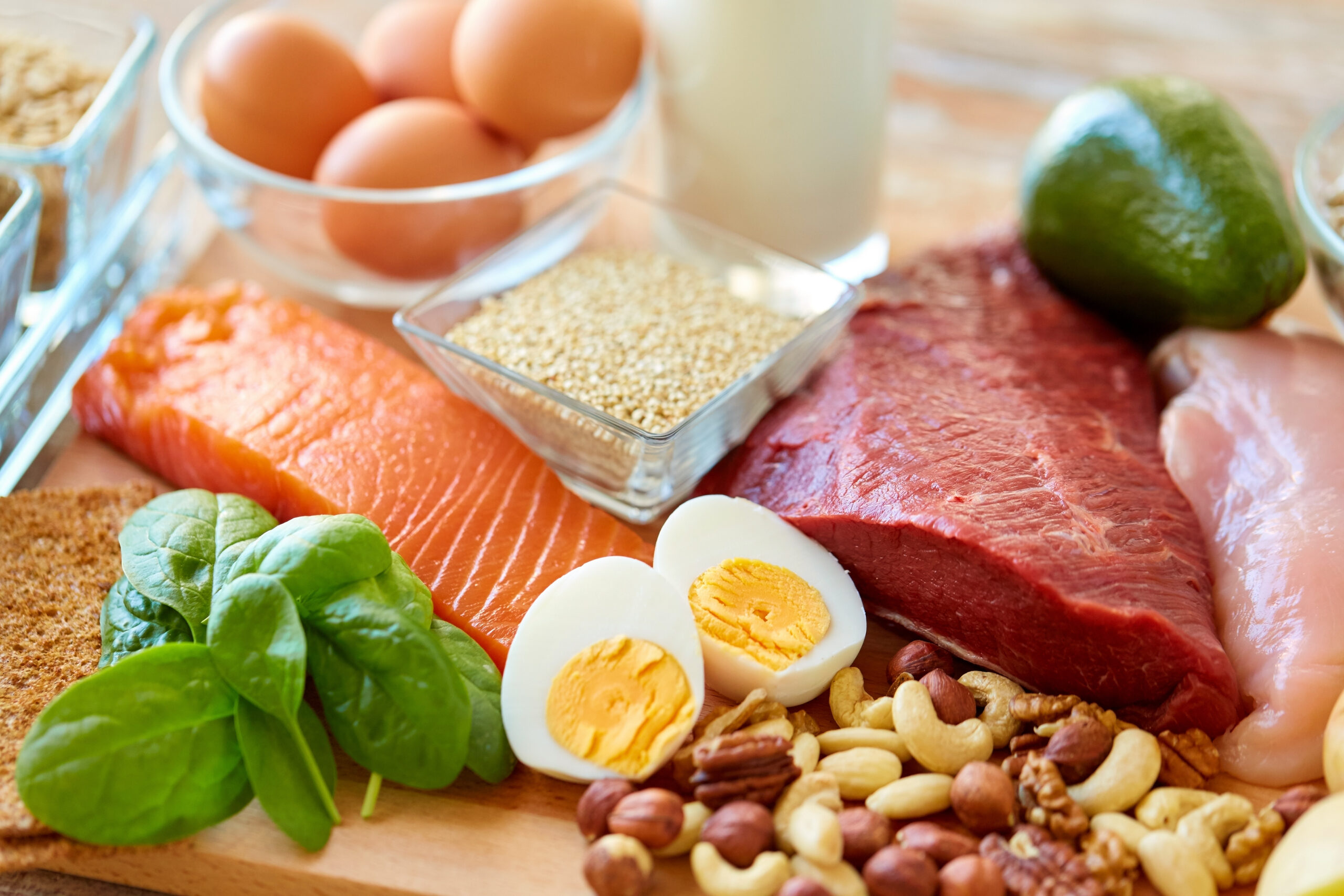 Protein Making Equipment