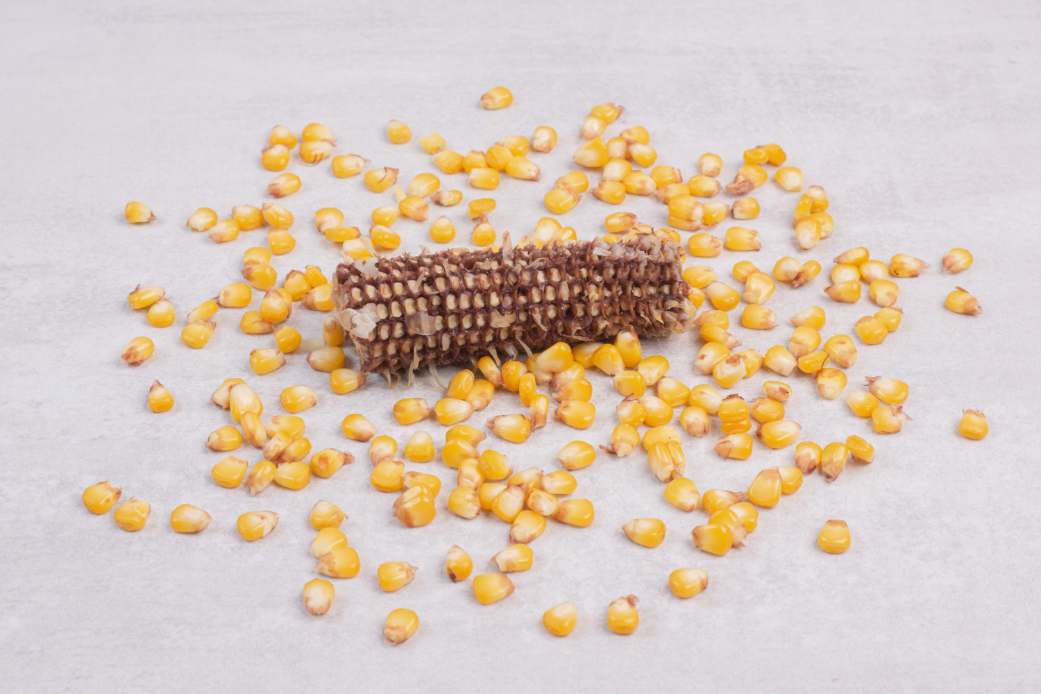 Find seed processing equipment