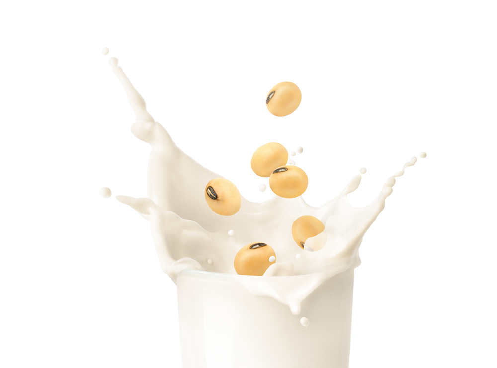 Making Soy Milk