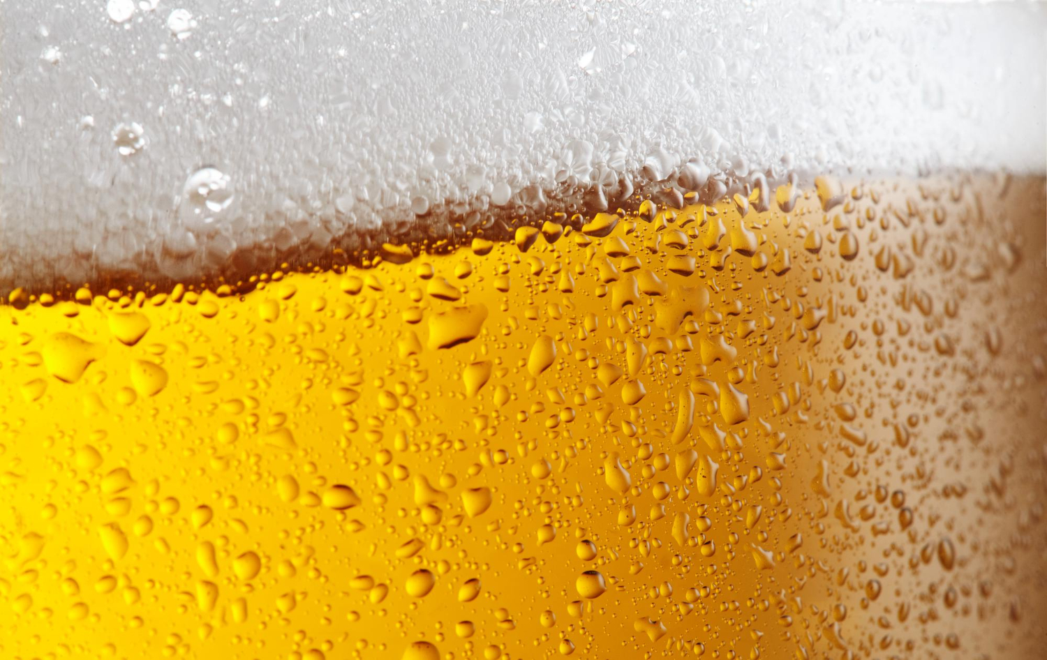 Making Craft Beer
