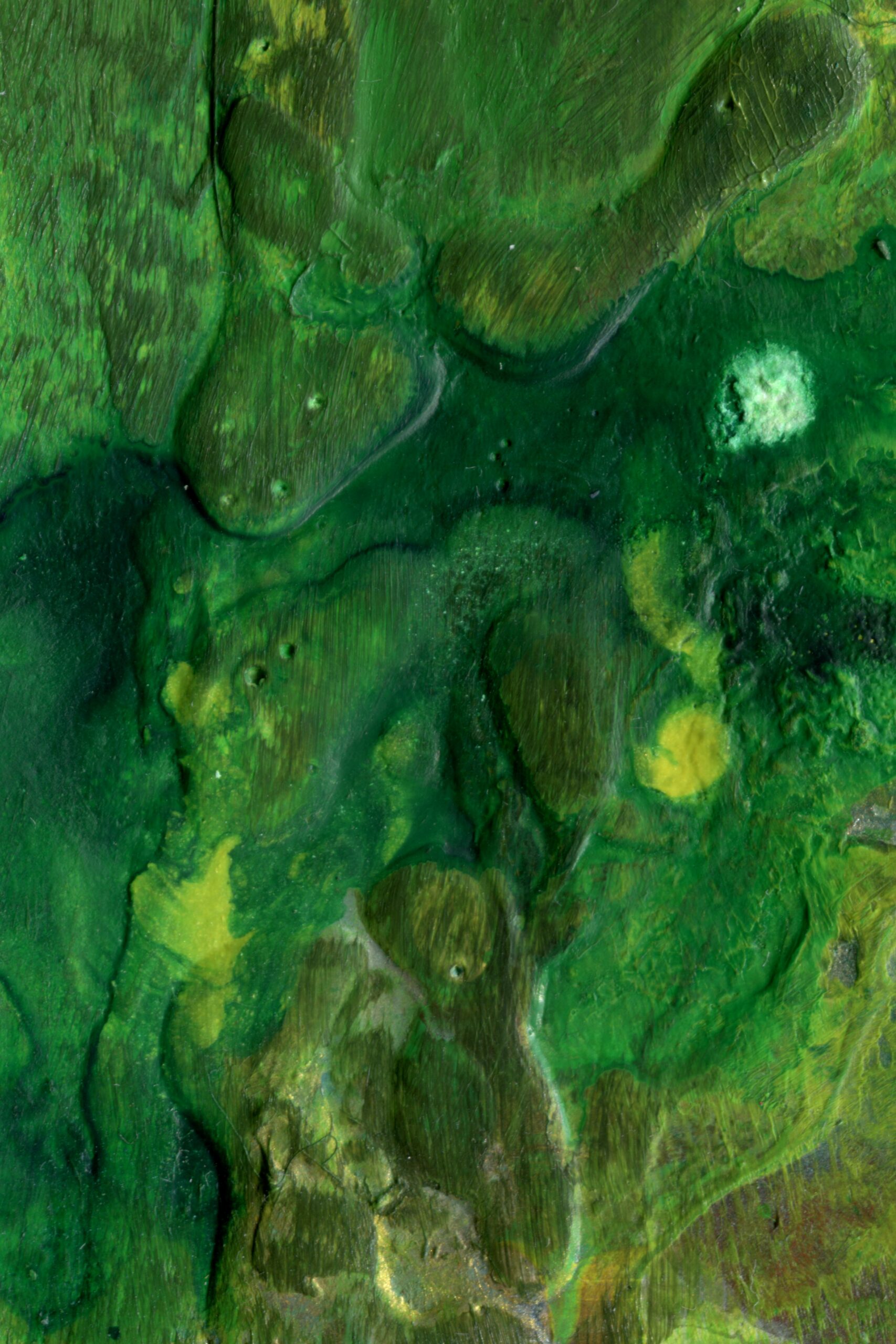 Find technology for processing algae