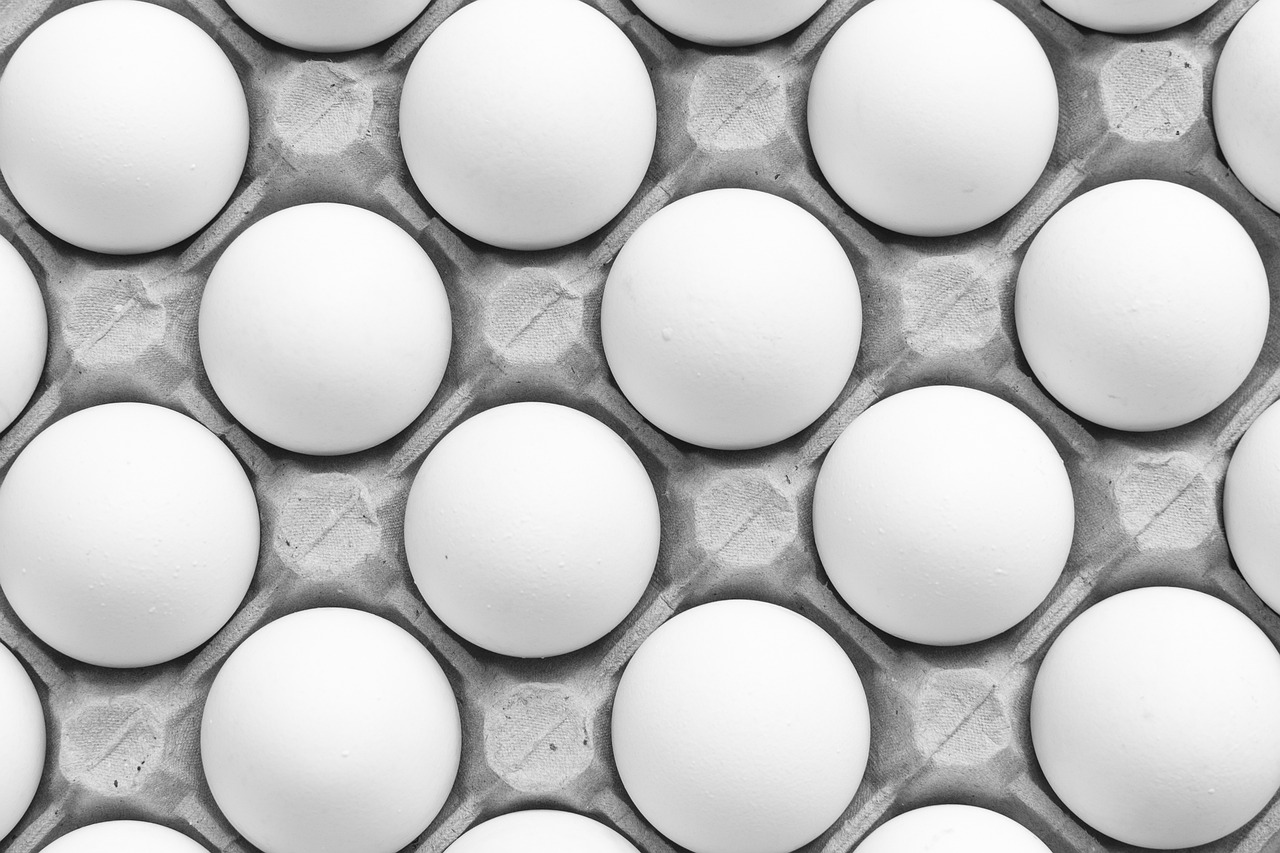 Eggs