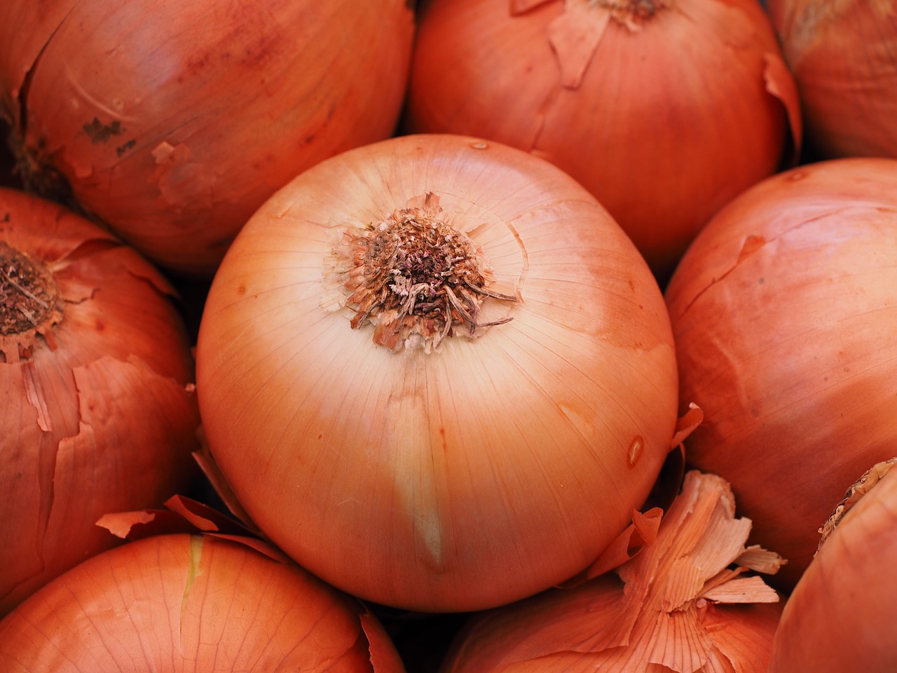 Onions
