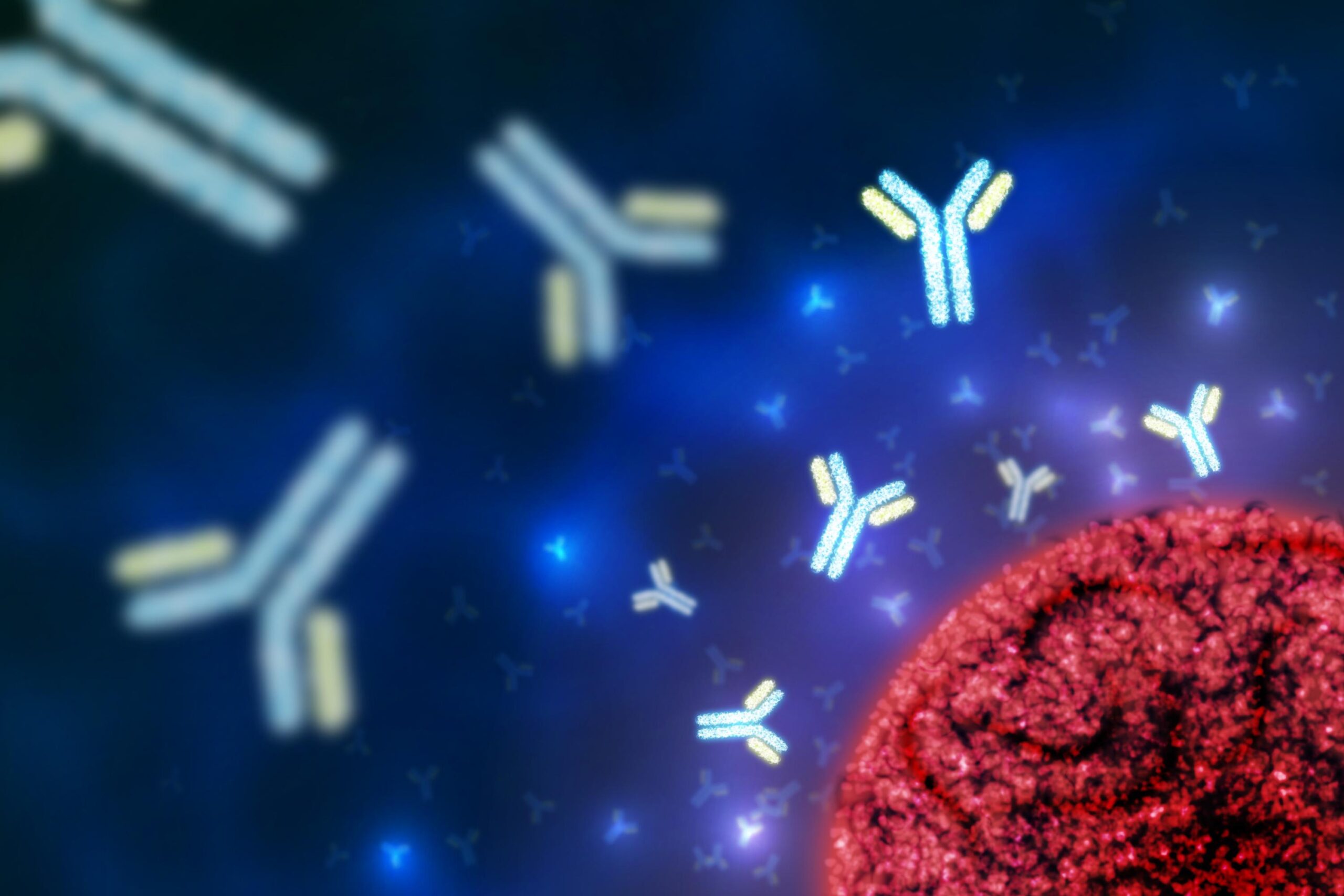 Antibodies